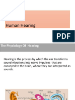 The Human Ear