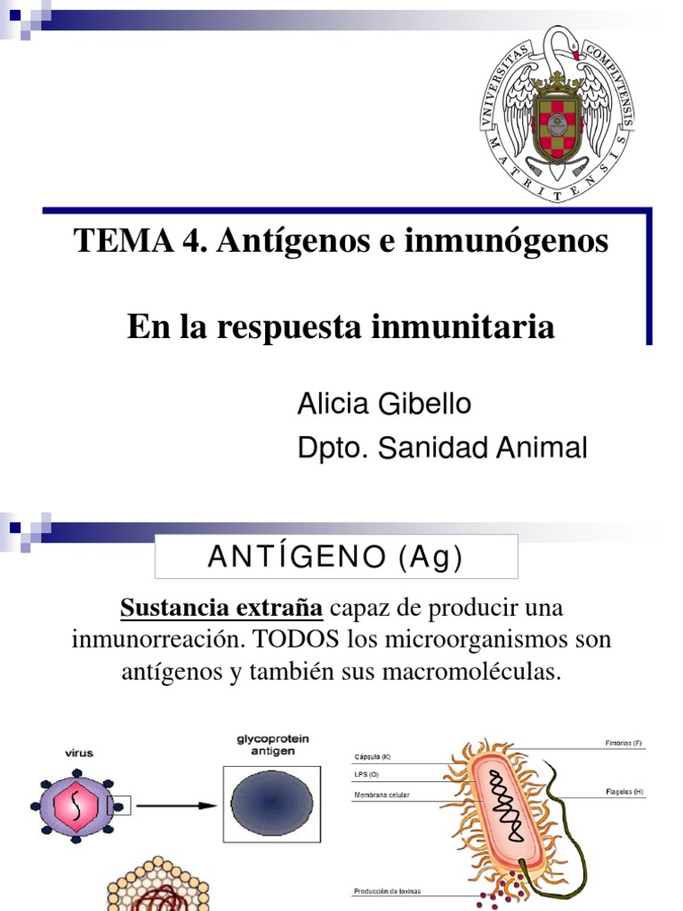 Antígenos e Inmunógenos | PDF | Antígeno | Linfocitos