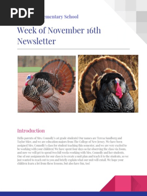 newsletter  1 