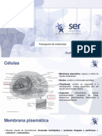 Biofísica - Leiliandry Melo - 2 Webconferência - Mód.B PDF