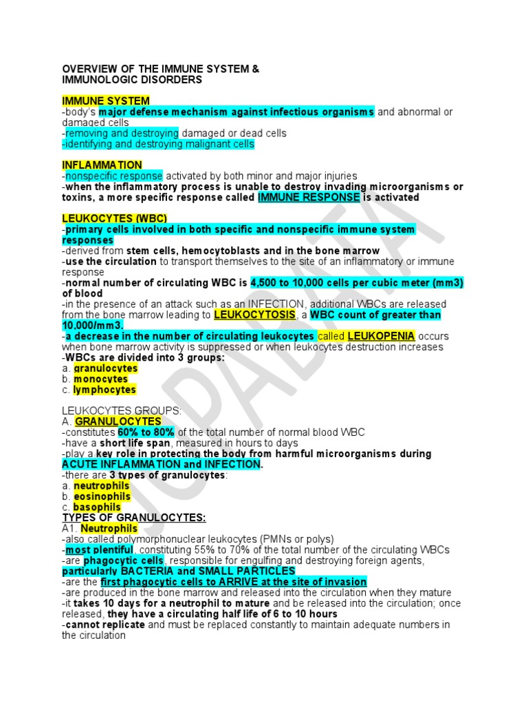 Immune System Overview and Disorders | PDF | Lymphatic System | White ...