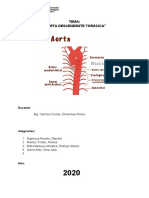 Aorta Descendente Torácica