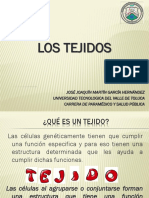 Los Tejidos PDF