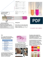 TripticoEquipo11CS PDF