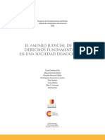 El Recurso de Amparo.pdf