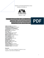 Proyecto de Investigación UAM PDF