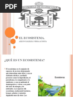 Mapa Conceptual Sobre Los Tipos de Ecosistemas | PDF | Tecnología