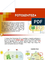 Fotosinteza II - MB PDF