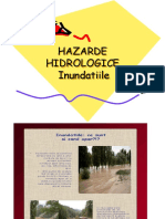 Hazarde Hidrologice