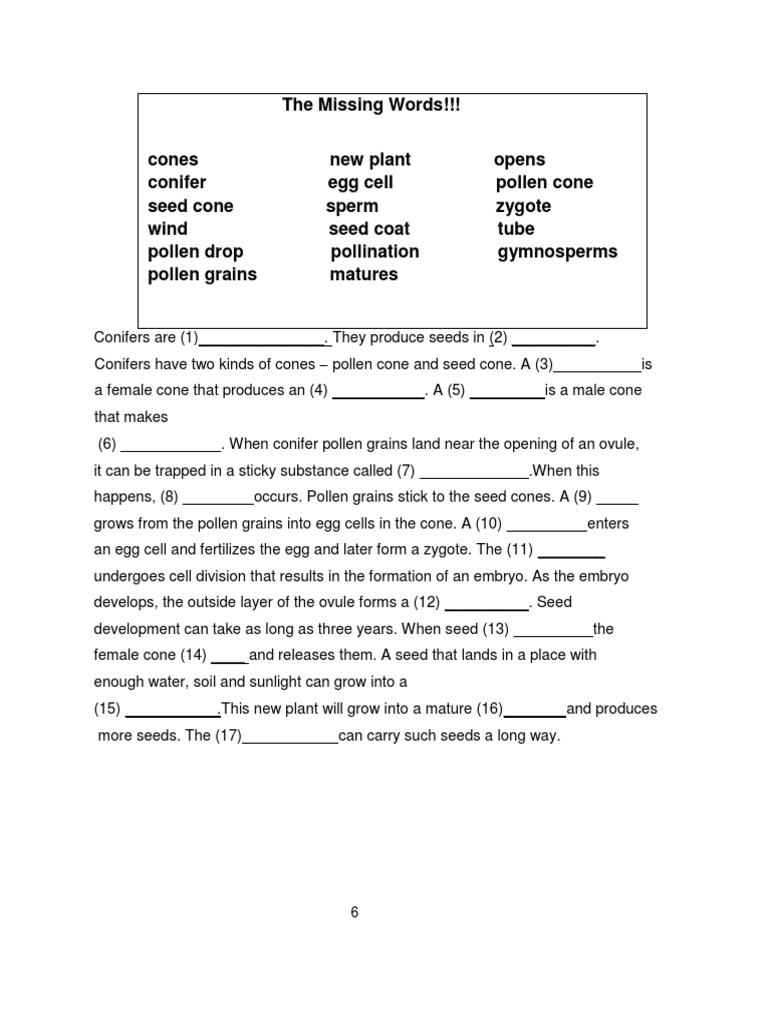 5 Cone Bearing Worksheet PDF Pinophyta Seed