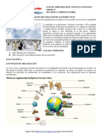 GT 2020 CN G6 Cuales Son Los Niveles de Organización de Los Seres Vivos