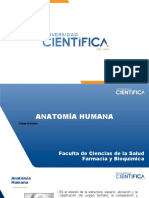 Generalidades Anatomía 3