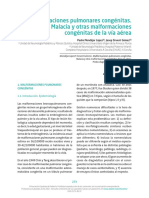 malformaciones_pulmonares.pdf