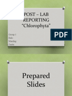 Post - Lab Reporting "Chlorophyta": Group 1 Balo Manilag Zurita