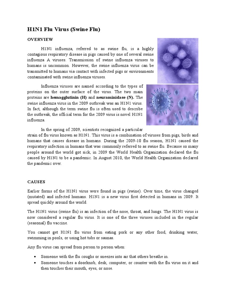 Understanding H1N1 Swine Flu | PDF | Swine Influenza | Influenza