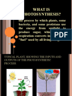 Introduction of Photosynthesis