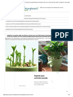 Aprenda a plantar limão na xícara e tenha sua casa perfumada e decorada por todo o ano, e mais_ longe dos insetos – Emagrecer_ vida e saúde