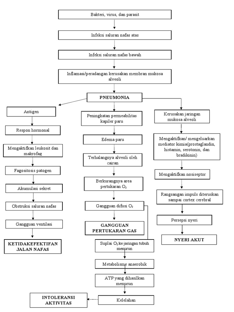 Pathway pneumonia pdf