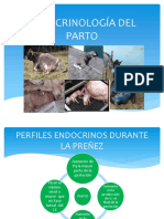 Endocrinología Del Parto PDF