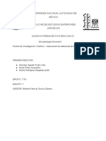 Desarrollo de Los Puntos de Investigación - Observación de Estructura de Hongos