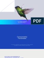 Pentra 80 XL80 2020 PDF