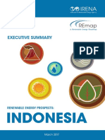 IRENA REmap Indonesia Summary 2017 PDF
