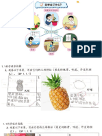 60）复习1：科学程序技能