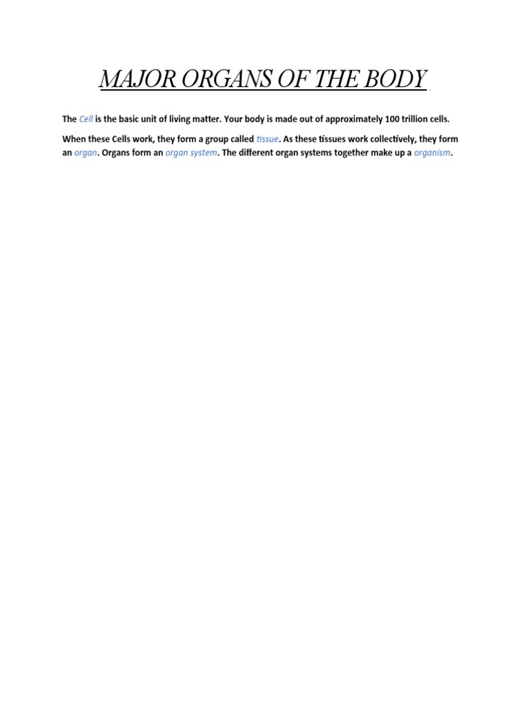 Major Organs and Body Systems Explained | PDF | Self-Improvement