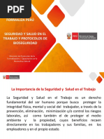 Sst y Protocolos de Bioseguridad