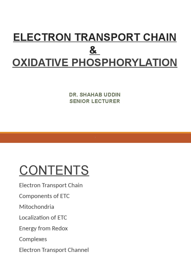 Coupling of Oxidative Phosphorylation | PDF | Electron Transport Chain ...