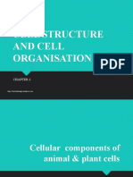 Cell Structure and Cell Organisation