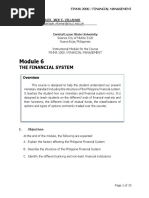 MODULE 6 - THE FINANCIAL SYSTEM.pdf