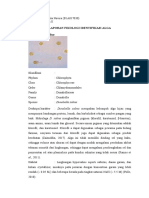 Dyah Nita Novira - B1A017030 - Laporan Fikologi - Identifikasi Alga