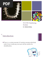 Dental Tooth Numbering Systems Explained | PDF | Dentistry | Dental Anatomy