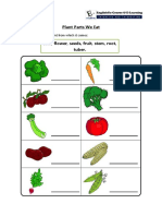 Plant Parts We Eat: Write The Part of The Plant From Which It Comes