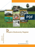 PBR Format 2013