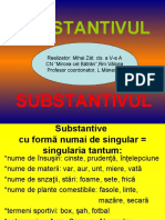 0 Substantivul