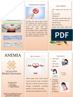 Leaflet Anemia