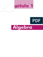 Álgebra - Cap - 1.pdf