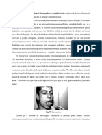 LP 10 Orl An 5 Seriile A B PDF