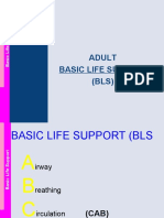 Adult BLS