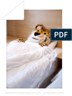Tiger Time Daily Routine Photo Flashcards PDF