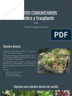 Siembra, Trasplante y Reproducción PDF