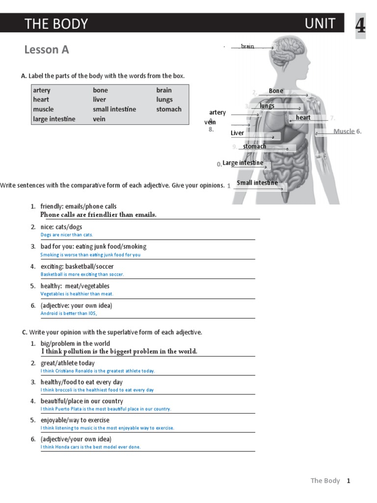 Body Parts and Health Insights | PDF | Mount Everest | Mountaineering