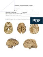 Guía 05 Configuración Externa de Cerebro