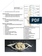 Spinal Cord Lab Sp11