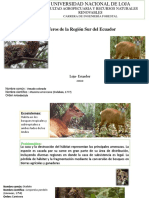 Mamiferos Sur de Ecuador PDF