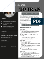 LeHuynhToTran CV PDF