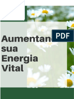 Aumentando Sua Energia