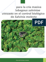 Cria masiva de Cyrtobagous para control de Salvinia